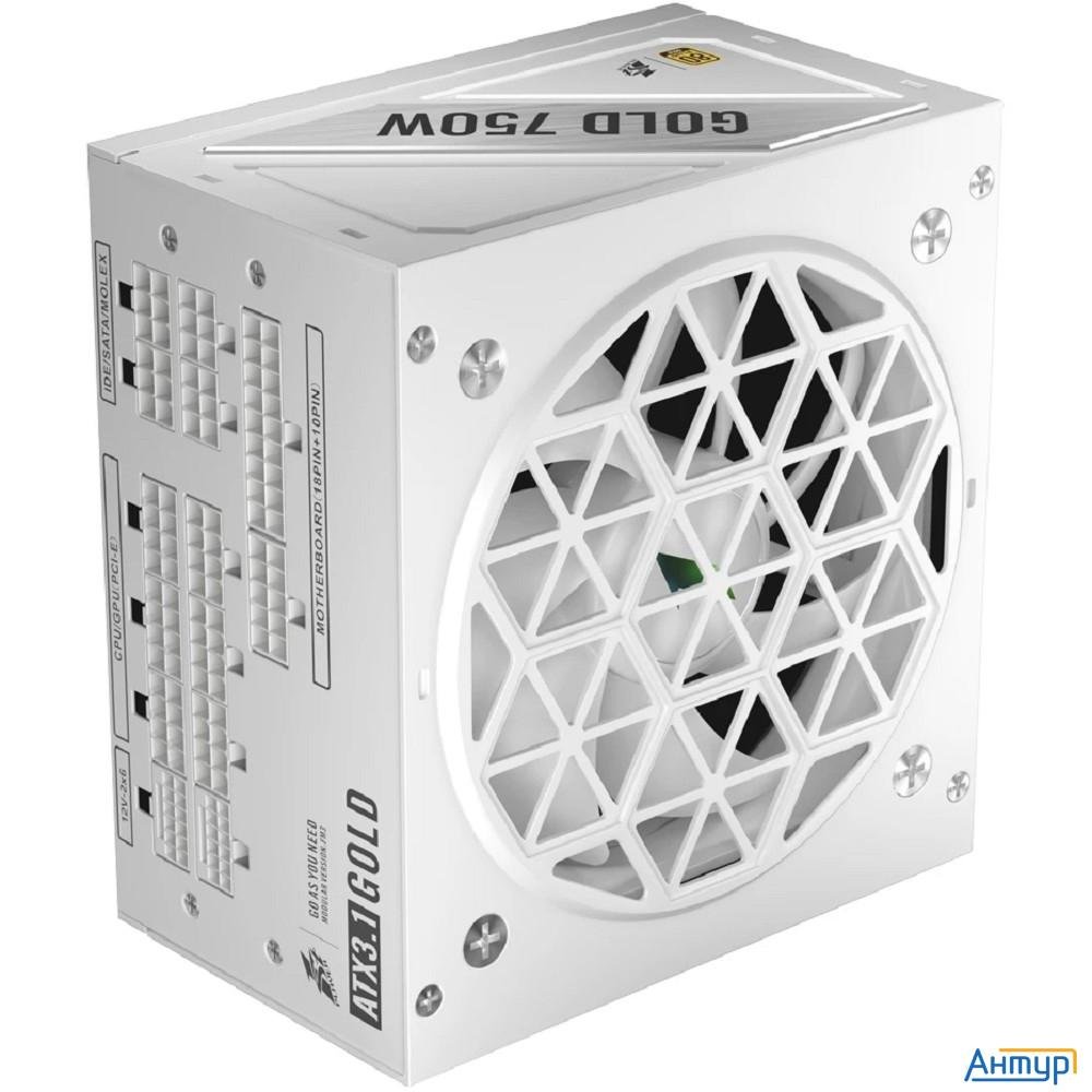 1stplayer Ngdp Gold 750w White / Atx 3.1, Apfc, 80 Plus Gold, Llc+dc-dc, Full Japan Solid-state Caps