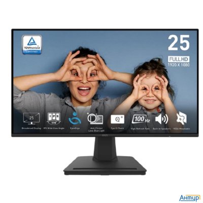 Msi Pro 24.5"  Mp252 Black {ips 1920x1080 100hz 4ms 178/178 300cd 1300:1 Hdmi Displayport Mm}