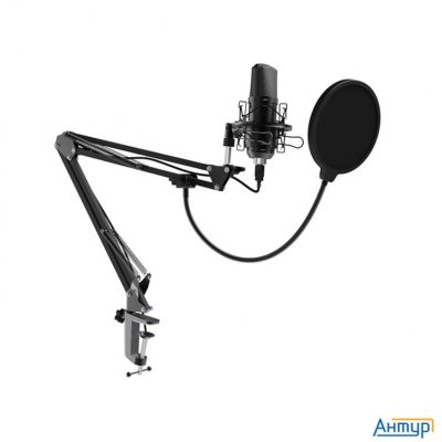 Ritmix Rdm-169 Black {увствительность: - 42 ± 2 дБ?,  ?1000 ?}