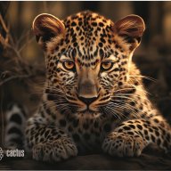 Коврик для мыши Cactus Leopard 250x200x3мм (cs-mp-d06s)