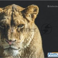 Коврик для мыши Defender Wild Animals и, 220x180x2 мм, 8 видов