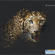 Коврик для мыши Defender Wild Animals и, 220x180x2 мм, 8 видов
