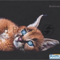 Коврик для мыши Defender Wild Animals и, 220x180x2 мм, 8 видов