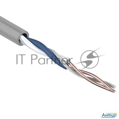 Кабель Rexant (01-0002) Кабель Utp Cat5e 1 пара (305м) 0.51 мм