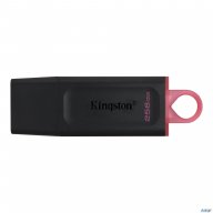 Флеш диск Kingston 256gb Usb3.2 Gen1 Datatraveler Exodia (black + Pink)