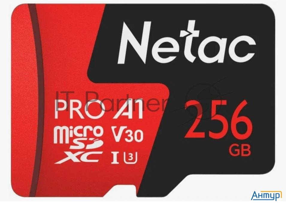 Флеш-накопитель Netac Карта памяти Netac Microsd P500 Extreme Pro 256gb, Retail Version Card Only