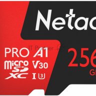 Флеш-накопитель Netac Карта памяти Netac Microsd P500 Extreme Pro 256gb, Retail Version Card Only