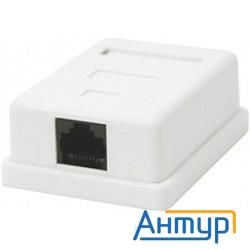 Gembird Na212 Rj-45 кат.5e внешняя 1 порт, 110&krone