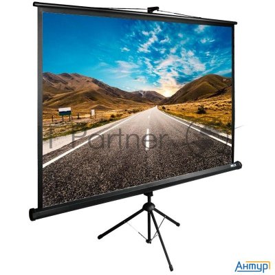 Экран Cactus 160x160см Triexpert Cs-pste-160x160-bk 1:1 напольный рулонный