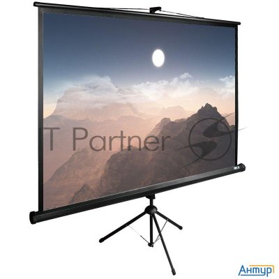 Экран Cactus 180x180см Triexpert Cs-pste-180x180-bk 1:1 напольный рулонный