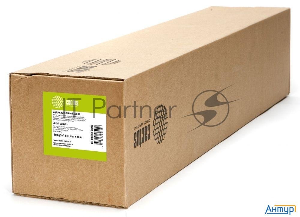 Холст Cactus Cs-mc260-61030 610мм-30м/260г/м2/белый матовое синтетика для струйной печати втулка:50.