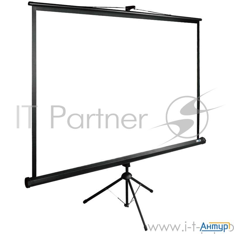 Экран Cactus 160x160см Triexpert Cs-pste-160x160-bk 1:1 напольный рулонный